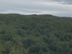 Kyrafjellet/Stølsfjellet
