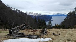 Kallsetsetra
