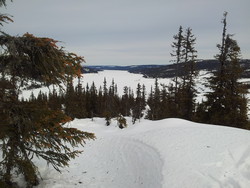 Bjørnhaugen