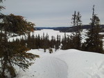 Bjørnhaugen