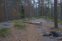 Langåsen