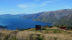 Vindhovden
