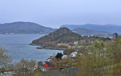 Moltusteinen