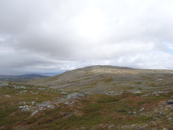 Stråten
