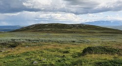Hovda