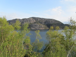 Skorpo