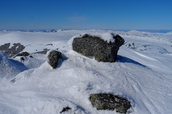 Vest for Nunatak
