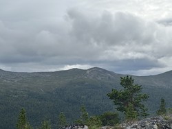 Tjørnahaugane
