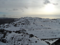 Bjødnaknuten