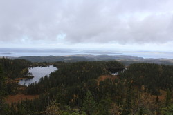 Bukkhaugen