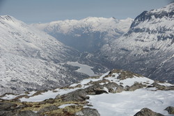 Middagshornet