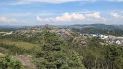 Grøne Brodene