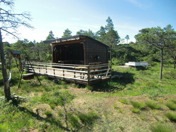Rastebu