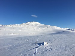 Bjordalshaugen