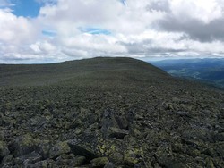 Gaustaråen