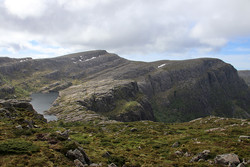 Grønegga
