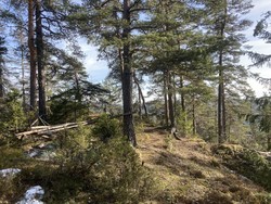 Rudskulen