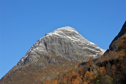 Sollinova