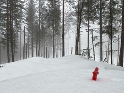 Addekollen