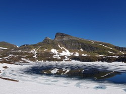 Sula