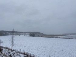 Horsmankallio