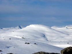 Grøneknausen