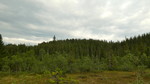 Kartjønnåsen