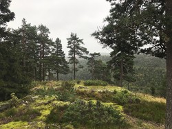 Solkollen