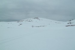 Butjønnatten