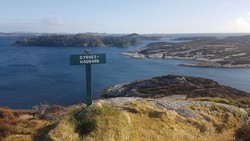 Dyrneshaugane