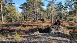 Heståsen