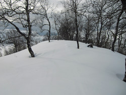 Øktarhovda