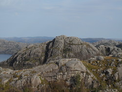 Tigardknuden