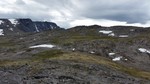 Vesla Grånosi