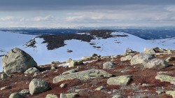 Nordøst for Langtjernkollen