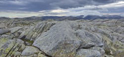 Grønhaug