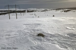 Listulfjellet