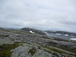 Varmekroheia