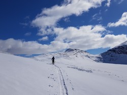 Hjerttindtuva