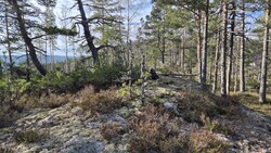 Eikelifjellet Sør