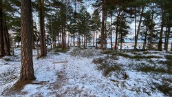 Sandeåsen