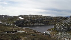 Fosskardnuten