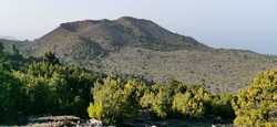 Tanganasoga