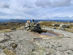 Høyskoheia