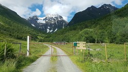 Urkedalen bomveg
