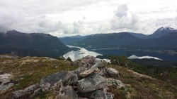 Vihalskammen