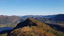 Gammelseterbrona