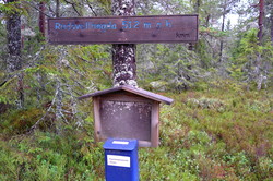 Rudsvellhøgda