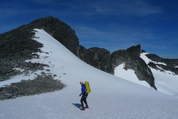 Bjørneggen