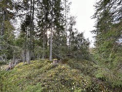 Breimåsanåsen